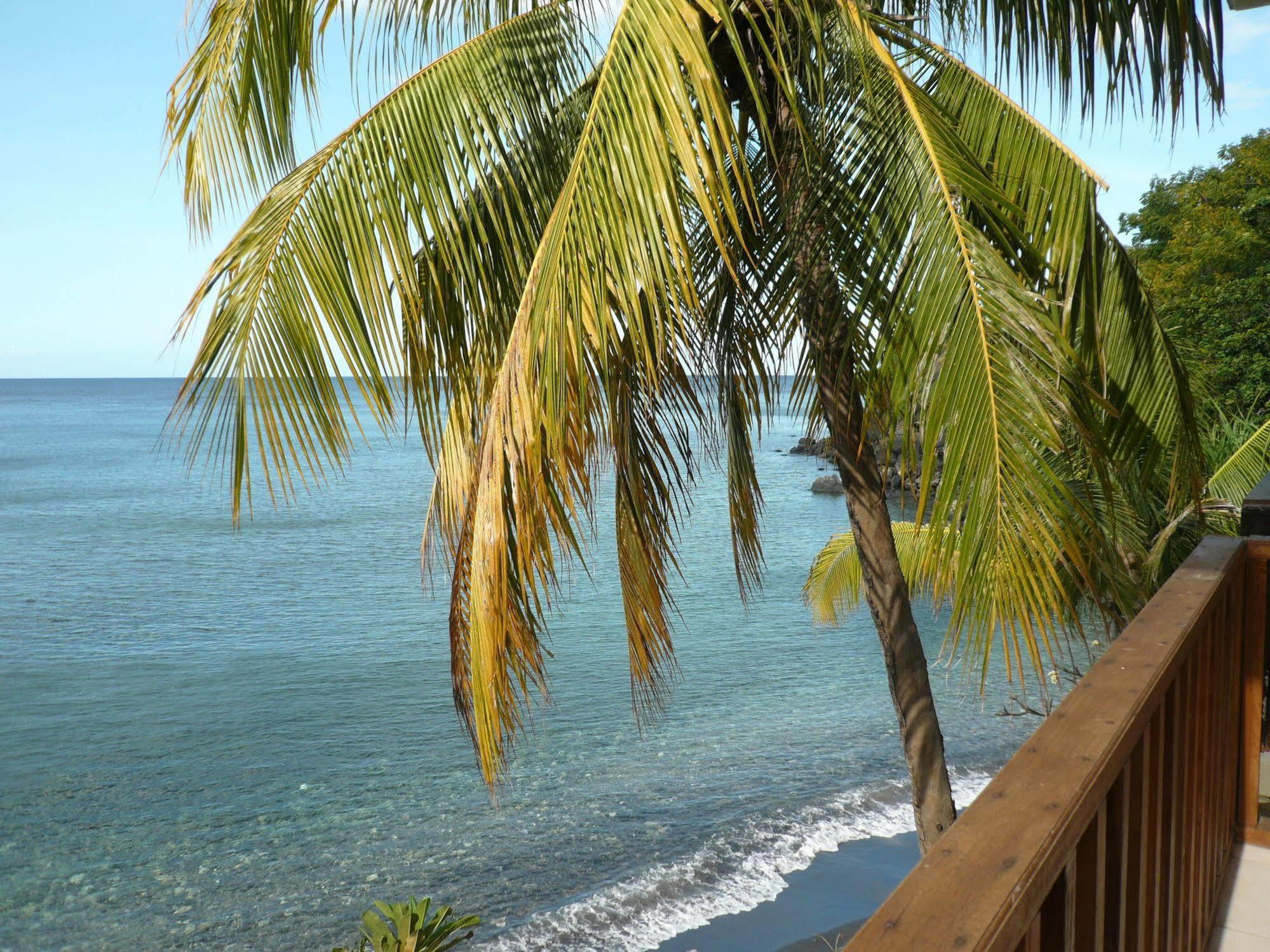 Vienna Beach Resort Amed Dış mekan fotoğraf